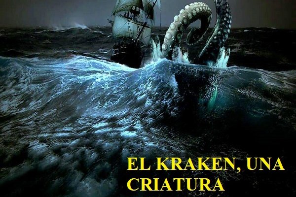 Kraken tor marketplace