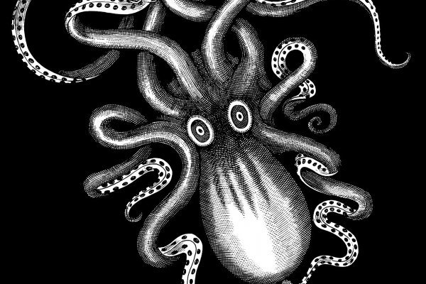 Kraken вход зеркало